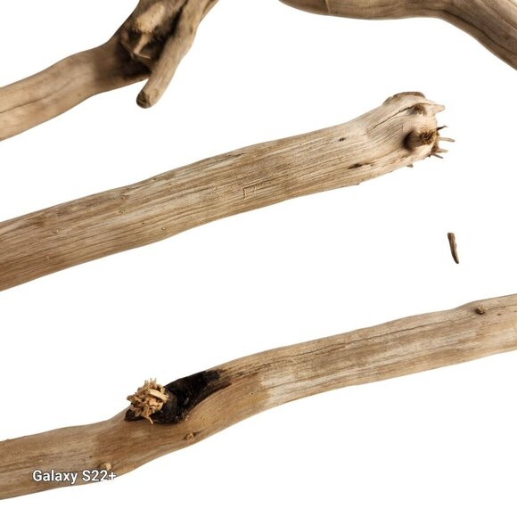 Natural Driftwood Pieces For Crafting & Home Decor 5 pieces - Picture 4 of 11